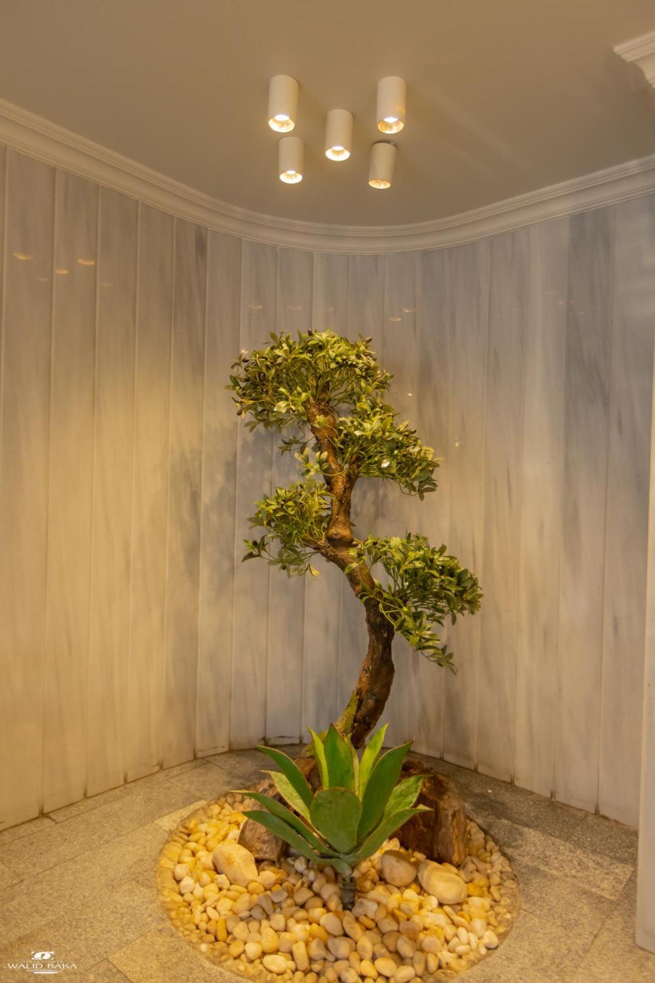 El Farida Hotel ไคโร ภายนอก รูปภาพ